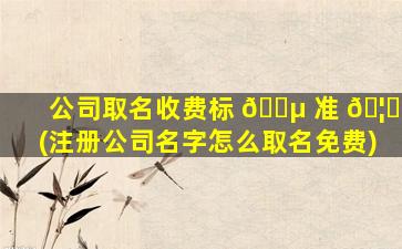 公司取名收费标 🌵 准 🦊 (注册公司名字怎么取名免费)